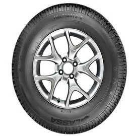 205/65R16C 107/105R 8PR, TL MULTIWAYS-C M+S / SFM - 2