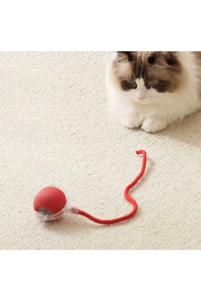 JoyDream Işıklı titreşimli şarjli hareketli kedi oyuncaği top - 3