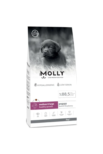 Molly Medium Large Puppy Kuzu Etli Yaban Mersinli Yavru Köpek Maması 2 Kg