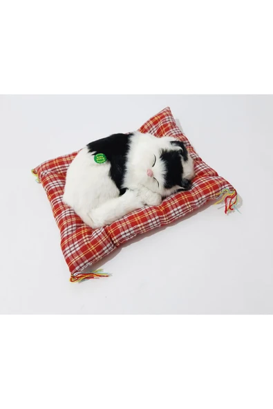 renkli çiçekler 18X12 CM Peluş Yatan Miyavlayan Kedi Oyuncak Kedi Çocuklar İçin Hediye Ev İçin Dekorasyon