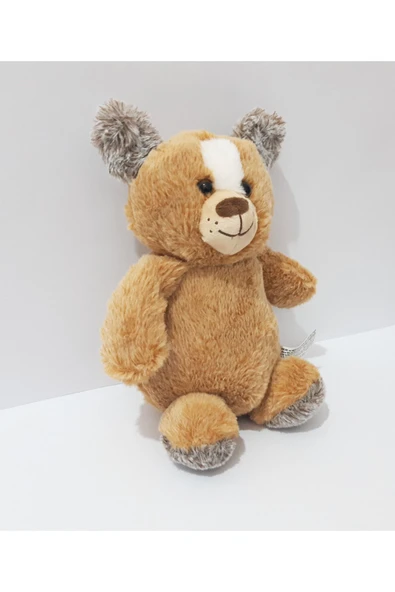 renkli çiçekler 24 CM Peluş Oyuncak Sevimli Ayı Çocuklar İçin Hediye