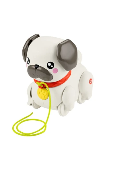 FISHER PRICE Minik Dostumla Yürüyüş Htw94 - 5