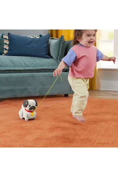 FISHER PRICE Minik Dostumla Yürüyüş Htw94