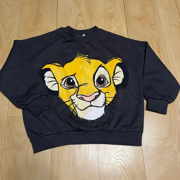 Zara Gri Lion Set Çocuk Takımı