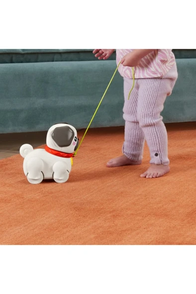 FISHER PRICE Minik Dostumla Yürüyüş Htw94 - 2