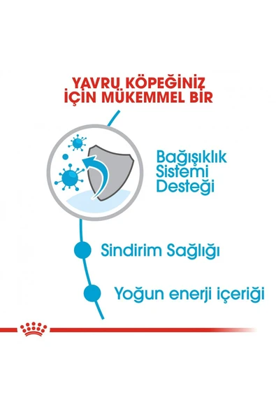 Küçük Irklar Için Yavru Kuru Köpek Maması 2kg - Resim 4