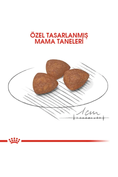 Küçük Irklar Için Yavru Kuru Köpek Maması 2kg - Resim 7