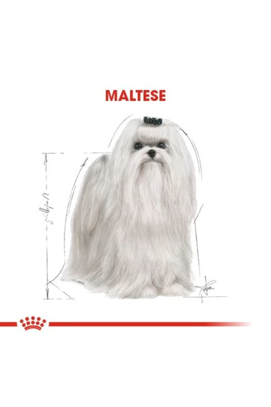 Maltese Yetişkin Kuru Köpek Maması 1.5kg - Resim 5