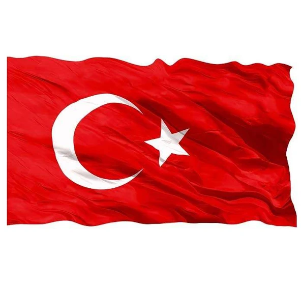 Vatan 80x120 Polyester Bayrak
