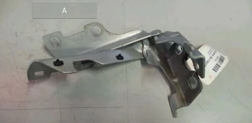 Oek 8200715439 Motor Kaput Menteşesi Sağ Clio Iı ürün görseli