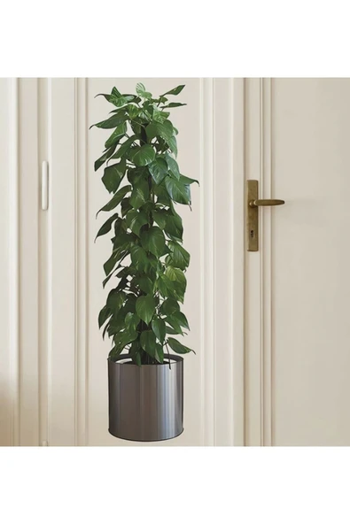Pratik Saksılı Bitki Tasarımlı Yapışkanlı Sticker Resim 90*30 Cm Mc-665 - 4