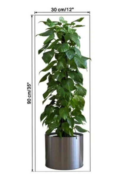 Pratik Saksılı Bitki Tasarımlı Yapışkanlı Sticker Resim 90*30 Cm Mc-665 - 3