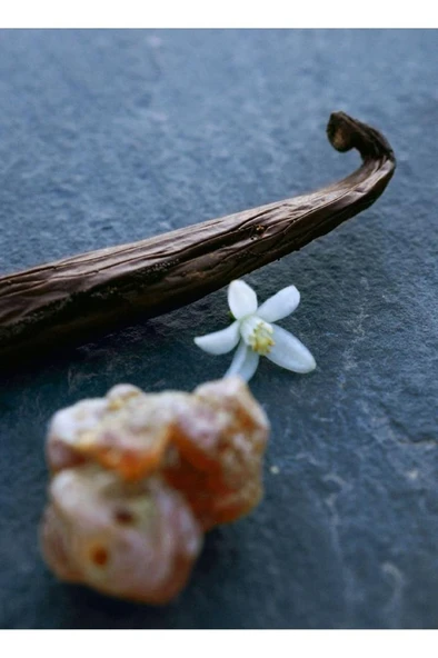 Chloe Nomade Nuit Degypte Edp 75 ml Kadın Parfüm - Resim 3