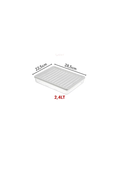 4'Lü Set Freshbox Mikrodalga ve Difrize Uygun Saklama Kabı Gri - 2
