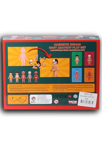 Manyetik Eğitici İnsan Anatomisi İnsan Vücudu Aktivite Oyun Seti - 72 Parça - 2