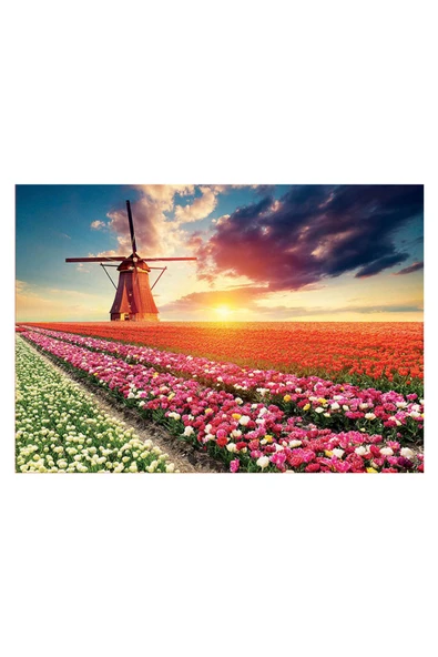 Puzzle 1500 Parça Lale Manzarası 18465 - 3
