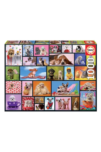 Puzzle 1000 Parça Shared Moment 15518