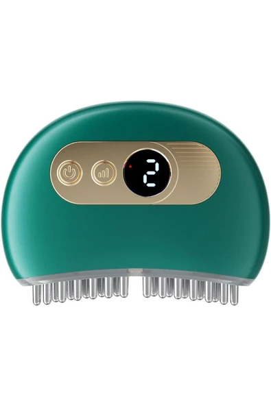 Yüz ve Saç İçin Kırmızı LED Işık Terapisi - 2