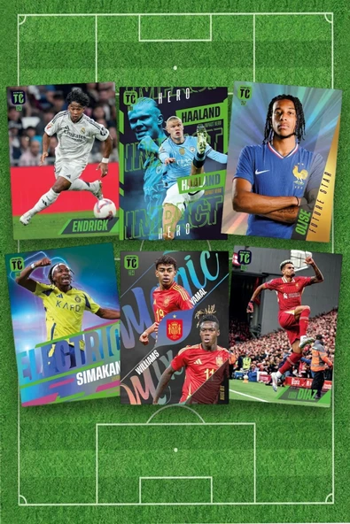 Panini TOP CLASS 2025 Blaster kutusu 1 Box 56 Kart - 3
