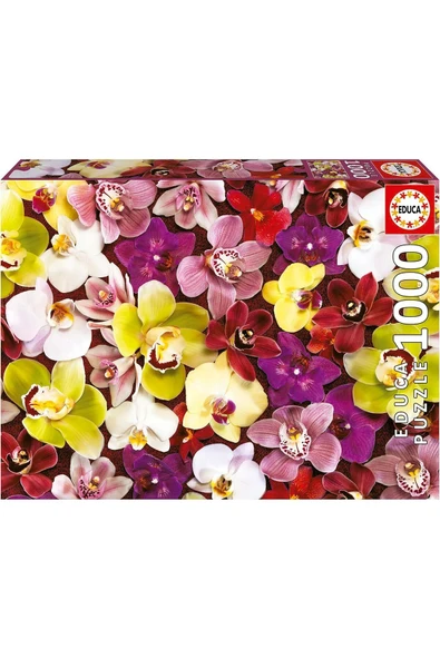 Educa 1000 Parça Orkide Çiçek Kolajı - Orchid Collage - 19558 - 2