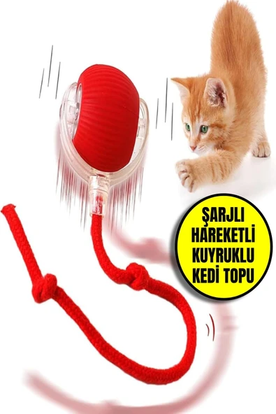 Şarjlı Otomatik Hareketli Kedi Köpek İçin 360 Derece Dönen İnteraktif Akıllı Oyun Topu