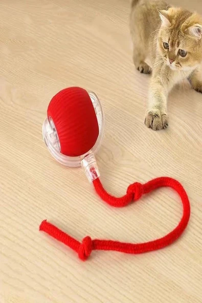 Şarjlı Otomatik Hareketli Kedi Köpek İçin 360 Derece Dönen İnteraktif Akıllı Oyun Topu - 2