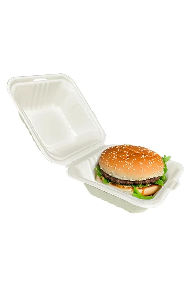 Süpertrend  Roll-up Nature Dreams Ekolojik Kendinden Kapaklı Hamburger Kap 15x15cm 25 Adet - 2