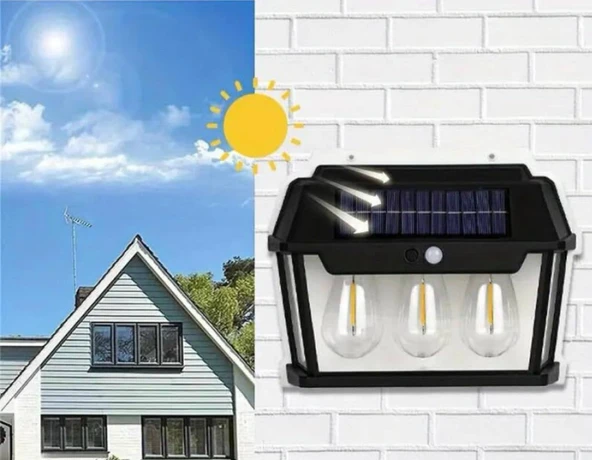 Solar Bahçe Aydınlatması 2'li - 2