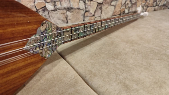 Divan Elektro saz - 3
