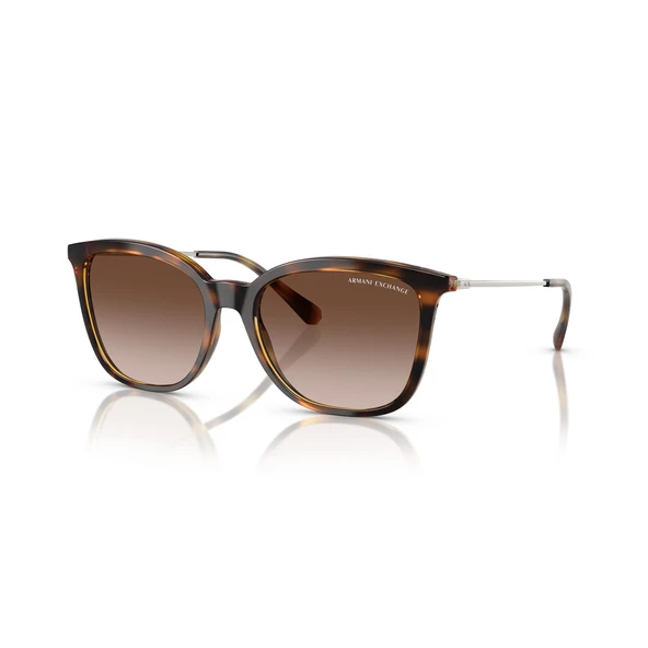 Armani Exchange AX4151S 821313 55 Kadın Güneş Gözlüğü - 4