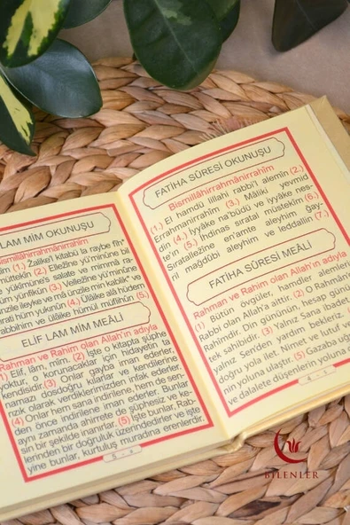 Yasin Kitabı Çanta Boy Termo Deri Kaplı Gold 10 Adet– Arapça, Türkçe Okunuşlu ve Mealli – 128 Sayfa  Hac Umre ve Mevlit Hediyeliği - Resim 4