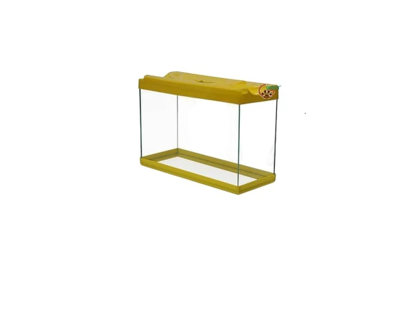 Sarı Renkli Mini Akvaryum - 4