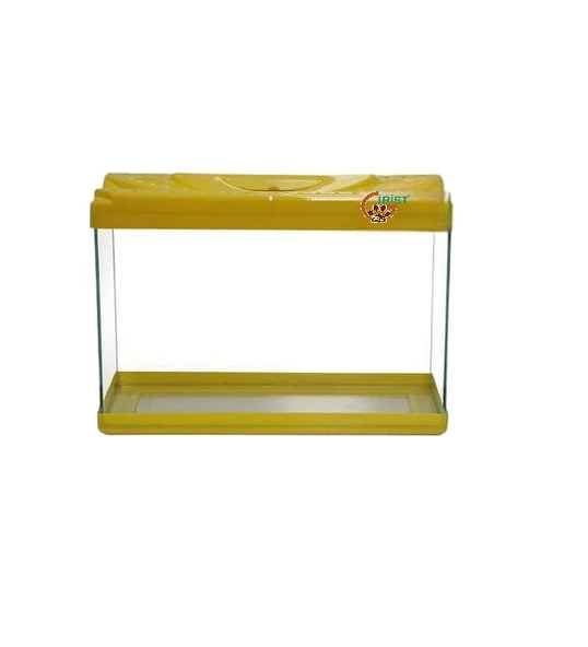 Sarı Renkli Mini Akvaryum - 3