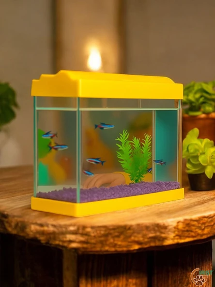 Sarı Renkli Mini Akvaryum