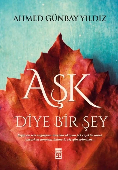 Aşk Diye Birşey. Ahmet Günbay Yıldız Timaş