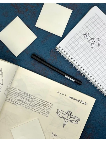 Homix Yapışkanlı Şeffaf Post-It Not Kağıdı (L-3) - 4