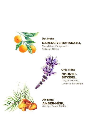 Eyüp Sabri Tuncer Sport Erkek Roll On Deodorant 75 ml - 2