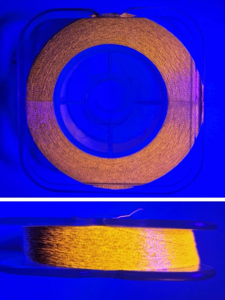 Eagenset Çapari Simi Balık Sırtı Kırçıl Neon Ultraviyole UV Altın Sarı Rengi Makara Sim - 2
