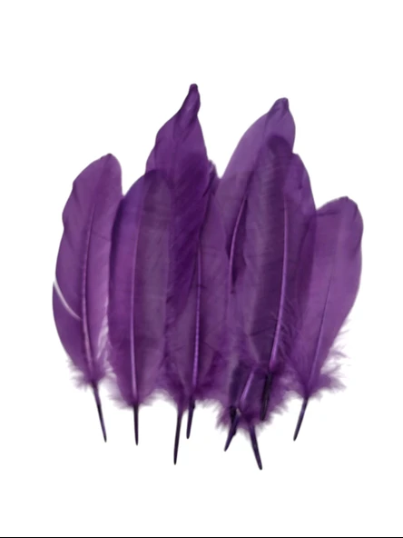 Mor Tüy El İşi Tüyleri, Okul Öncesi Etkinlik Tüy 10 Lu - 1 Paket - 2