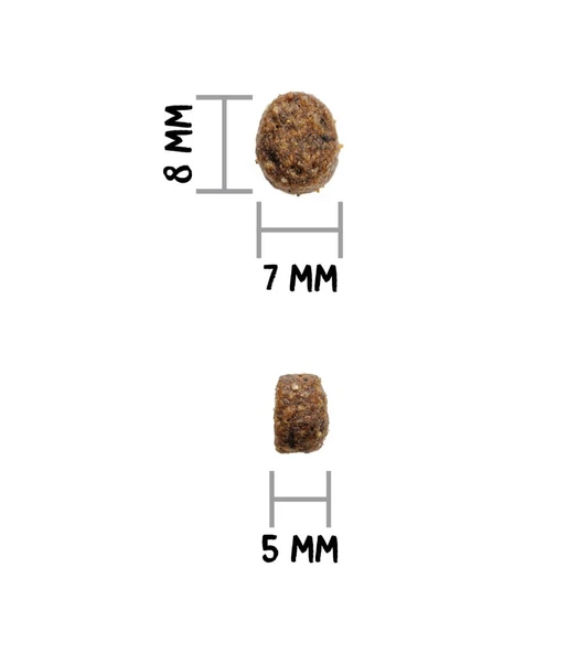 Ownat 1 kg Sterilised Somonlu Kedi Maması - 4