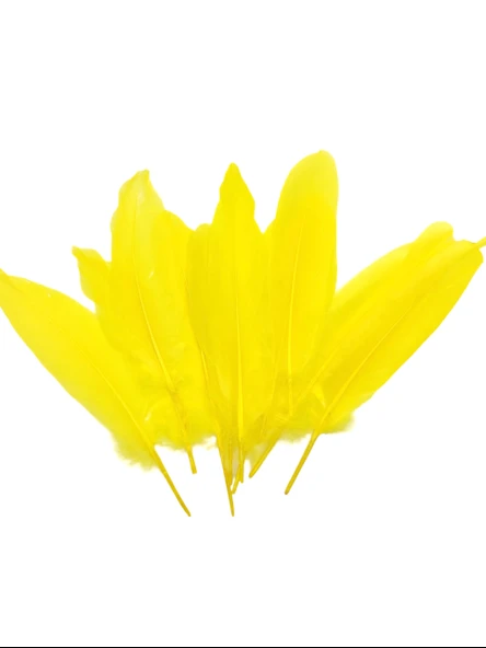 Sarı Tüy El İşi Tüyleri, Okul Öncesi Etkinlik Tüy 10 Lu - 1 Paket - 3