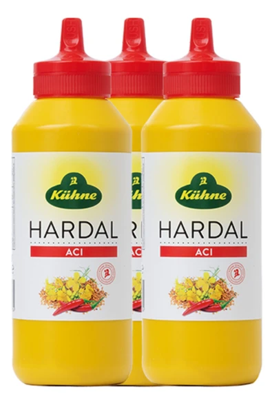 Kühne Hardal Acı 255 Gr x 3 Adet