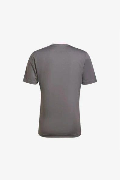 adidas Entrada 22 Jersey HE1574 Gri Erkek Forma - 2