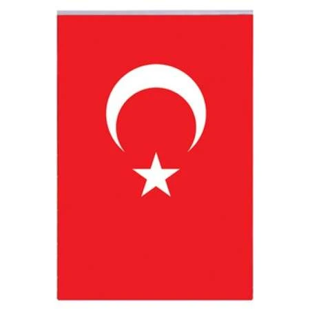 Vatan 40x60 Polyester Bayrak