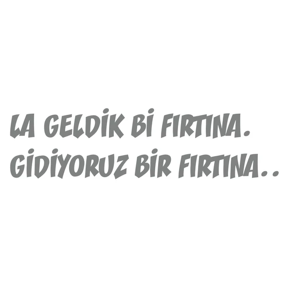 Geldik bi fırtına gidiyoruz bir fırtına sticker 17x17 Cm Gri