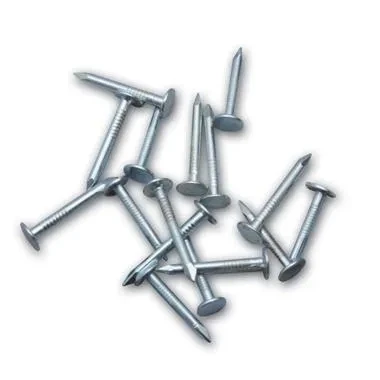 Oluklu Ayakkabı Çivisi 1 Kg ürün görseli 1