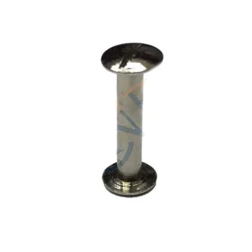 Cilt Menü, Katalog, Kartela Vidası, 20 Mm - Nikel, 1 Adet - 1