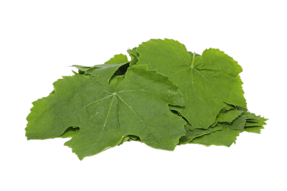 Asma Yaprağı Taze Yeni Sezon(Çekirdeksiz Sultaniye Üzüm Yaprağı) 500 gr. - 2