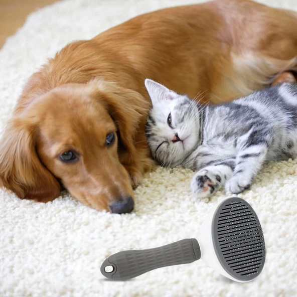 Kedi Köpek Tüy Toplayıcı  Pet Tarak 20 Cm - 2