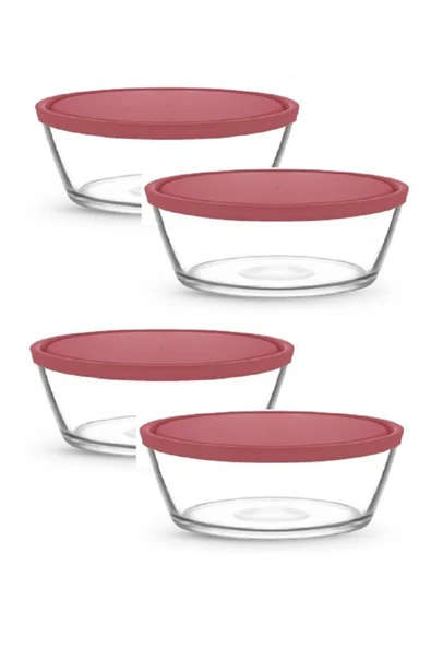 LAV FEYZADE VEGA SAKLAMA KABI 4 ADET 2370cc ürün görseli